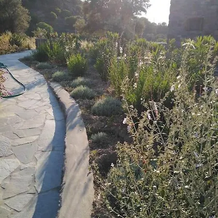 Semesterbostad Loutra Olive Garden Stone House #3 *