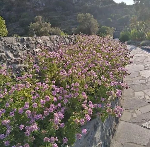 Loutra Olive Garden Stone House #3 펜션 *