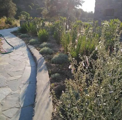 Semesterbostad Loutra Olive Garden Stone House #3 *