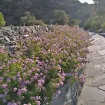 Loutra Olive Garden Stone House #3 بيت للعطل *