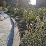 بيت للعطل Loutra Olive Garden Stone House #3 *