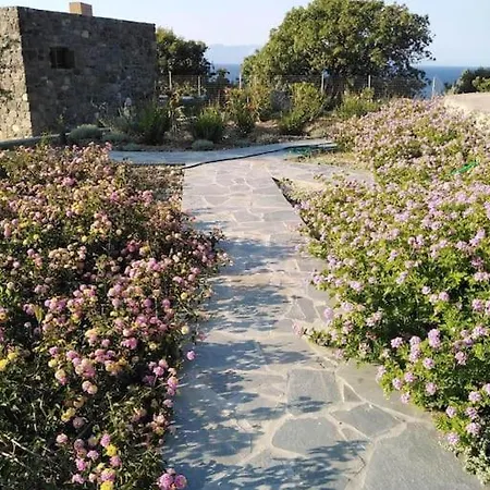 Loutra Olive Garden Stone House #3 Holiday home