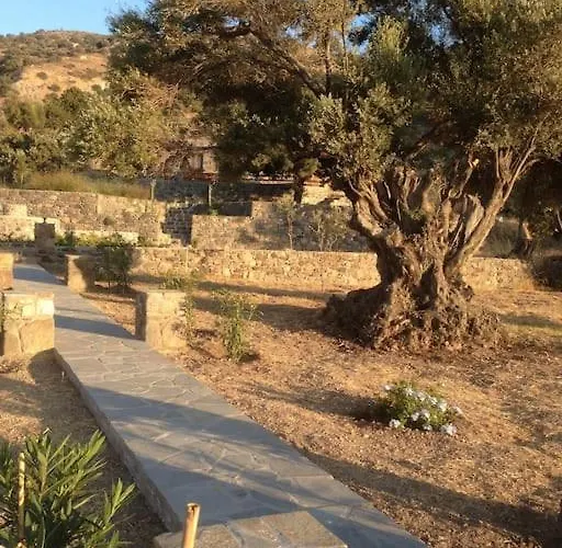 בית נופש Loutra Olive Garden Stone House #3