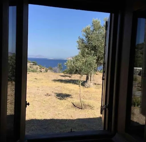 בית נופש Loutra Olive Garden Stone House #3 *