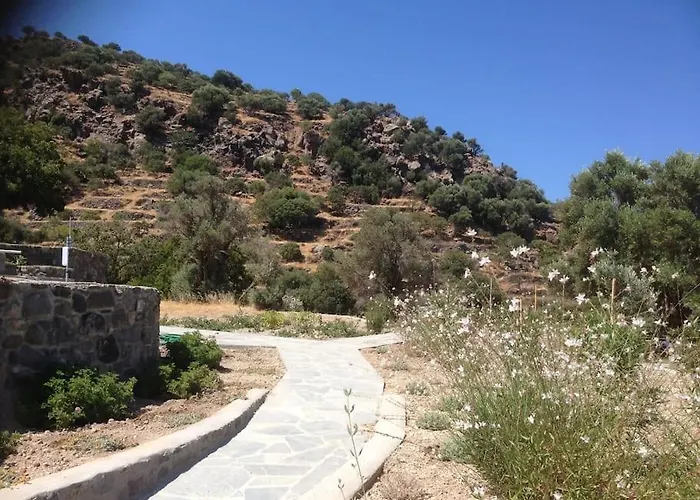 Σπίτι διακοπών Loutra Olive Garden Stone House #3 *